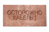 SPP 