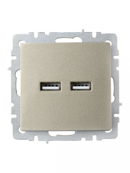 Розетка BRITE USB A+A 3.1А РЮ10-1-БрШ механизм шампань IEK BR-U21-D31-K37