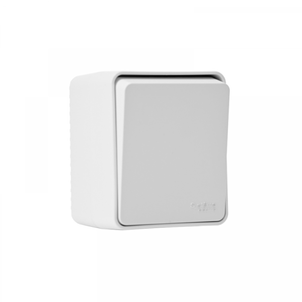 Выключатель кнопочный 1-кл. ОП AtlasDesign PROFI IP54 10АХ бел. SE ATN540115