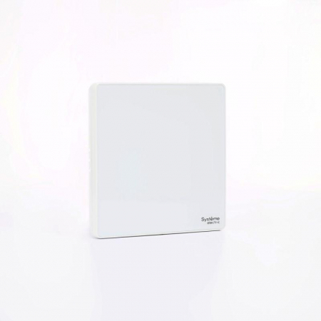 Systeme Electric 