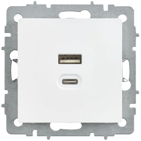 Розетка СП BRITE РЮ11-2-БрАБ USB A+C 45Вт высокоскор. заряд. арктич. бел. IEK BR-U22-045-K91