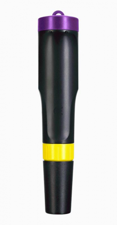 Ermenrich 