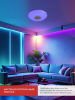 IN HOME 