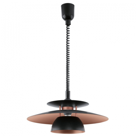 Подвесной светильник Eglo Brenda 31666