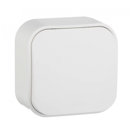 Выключатель одноклавишный кнопочный Legrand Quteo 6A 250V белый 782205