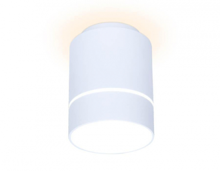 Потолочный светодиодный светильник Ambrella Light Techno Spot TN255