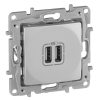 Розетка 2хUSB Legrand Etika алюминий 672494