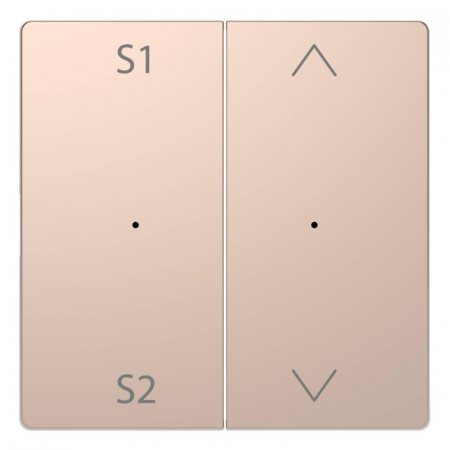 Клавиша двойная Schneider Electric Merten D-Life MTN5227-6051