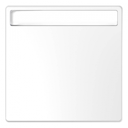 Клавиша одинарная Schneider Electric Merten D-Life MTN3360-6035