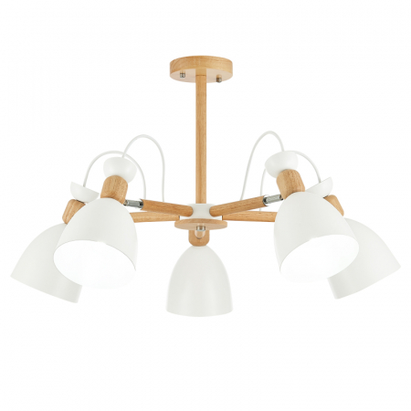 Потолочный светильник EVOLUCE BALCAMO SLE103802-05