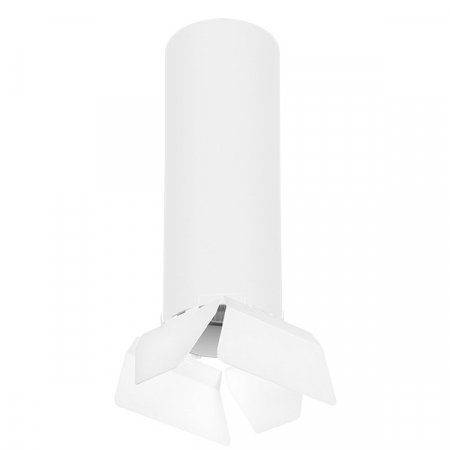 Потолочный светильник Lightstar RULLO R6496486 (216496+202486)