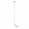 Подвесной светильник ST Luce Sormano SL1206.503.01