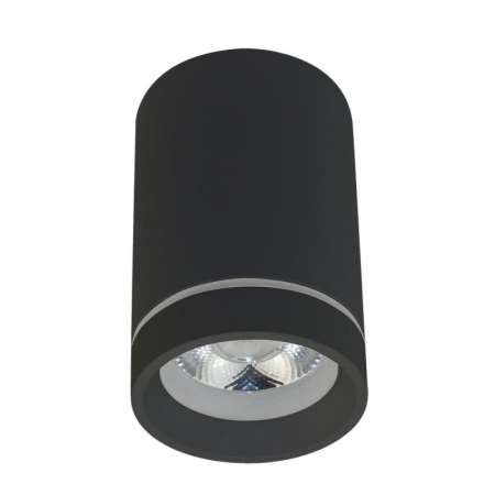 Потолочный светильник Aployt Edda APL.0053.19.10