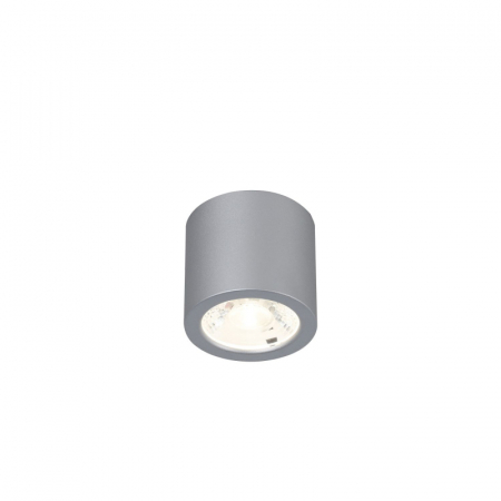 Накладной светильник Favourite Deorsum 2808-1C