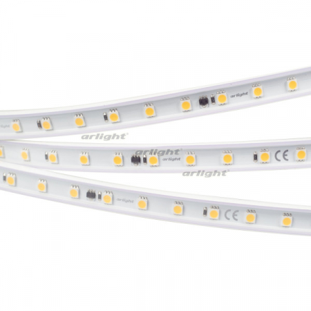 Светодиодная лента Arlight ARL-PV-B54-15.5mm 5060 029400(2)