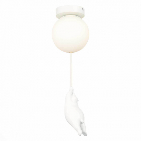 Потолочный светильник Evoluce Modena SLE115402-01