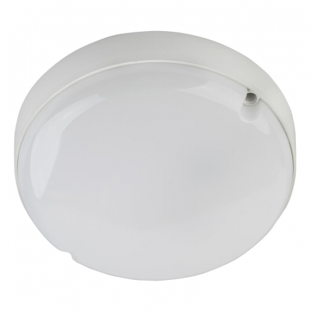 Настенно-потолочный светильник ЭРА SPB-201-0-65K-008 Б0047616