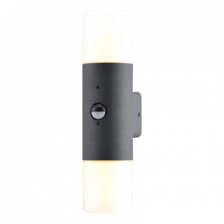 Уличный настенный светильник Escada 534/2A