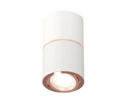 Потолочный светильник Ambrella Light Techno Spot XS7401220 (C7401, A2073, C7401, N7005)