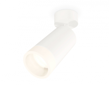 Спот Ambrella Light Techno Spot XM6322011 (A2202, C6322, N6248)