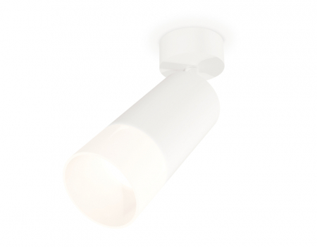 Спот Ambrella Light Techno Spot XM6322012 (A2202, C6322, N6252)