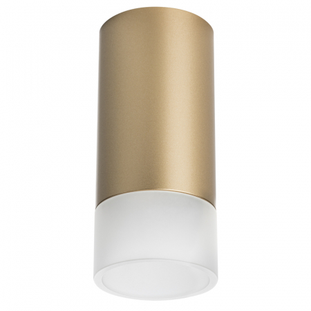 Накладной светильник Lightstar Rullo R44031 (214440+202431)