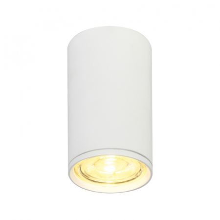 Потолочный светильник 20001 20001SMU/01 SWH