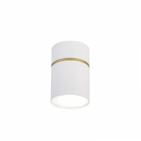 Накладной светильник Favourite Dunia 3067-1C