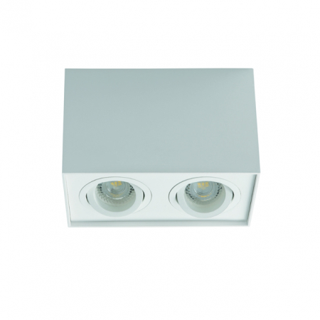 Накладной светильник Kanlux Gord DLP 250-W 25473