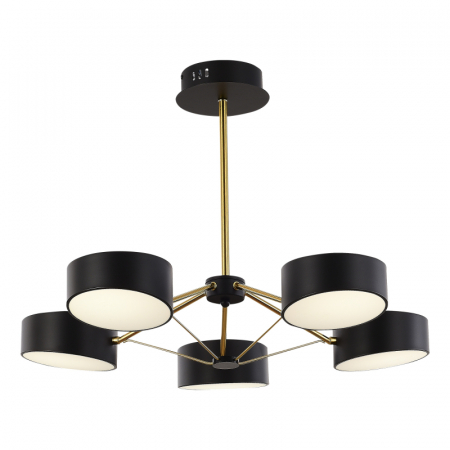 Потолочный светильник Evoluce Valle SLE6005-402-05