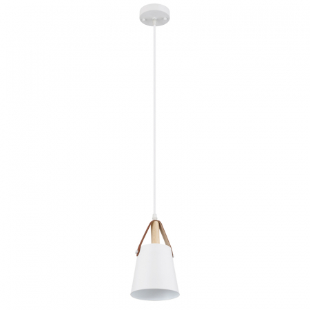 Подвесной светильник Arte Lamp Thomas A7032SP-1WH