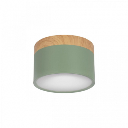 Накладной светильник Loft IT Grape 10162 Green
