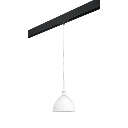 Трековый светильник Lightstar Agola PRO810020 (810020+595007)