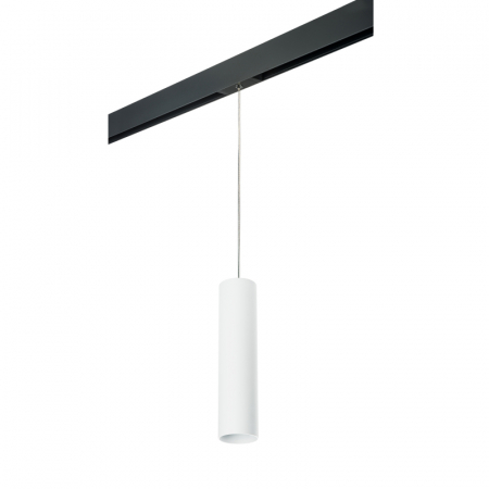 Трековый светильник Lightstar Rullo PRORP496 (214496+595857)