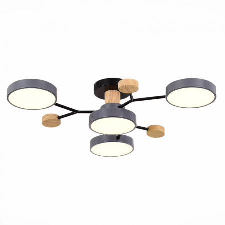 Люстра на штанге Evoluce Faema SLE6006-702-04