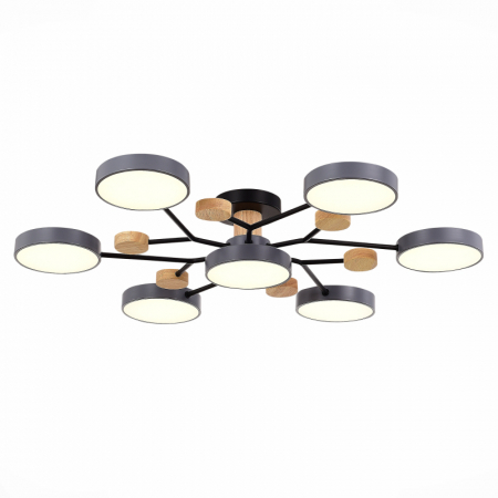 Люстра на штанге Evoluce Faema SLE6006-702-07