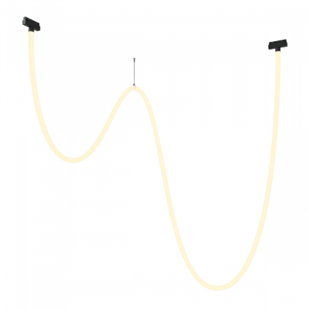 Трековый подвесной светильник Maytoni Tau TR101-2-100W3K-B