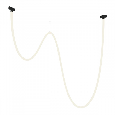 Трековый подвесной светильник Maytoni Tau TR101-2-100W4K-B