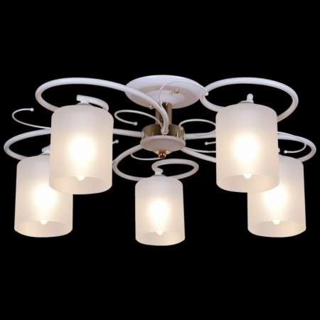 Потолочная люстра Reluce 00738-0.3-05