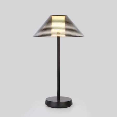 Настольная лампа с аккумулятором Elektrostandard Mistery TL70210 4690389192036 a062381