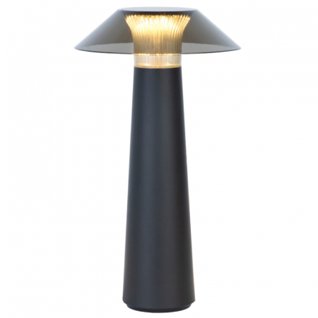 Настольная лампа с аккумулятором Elektrostandard Future TL70200 4690389192029 a062379