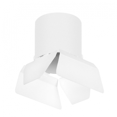Накладной светильник Lightstar Rullo (213486+202486) R3486486
