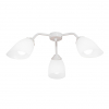 Потолочная люстра Vitaluce V31950/3PL