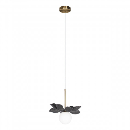 Подвесной светильник Loft IT Monro 10213/B Black