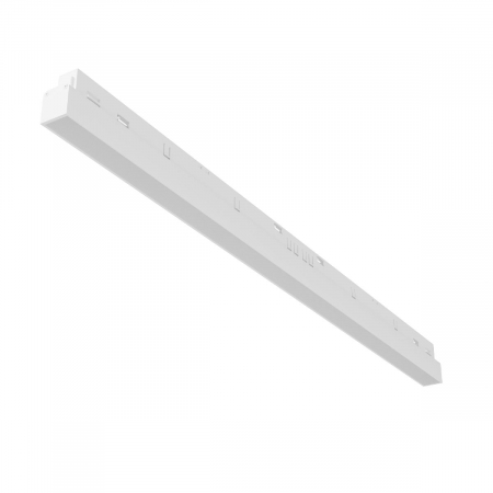 Трековый магнитный светильник Maytoni Basis TR030-2-24W3K-W