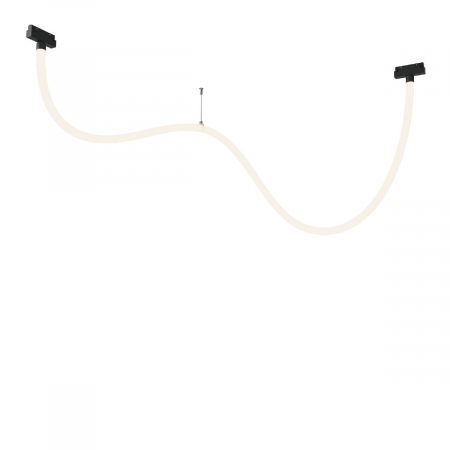 Трековый магнитный светильник Maytoni Tau TR101-2-50W4K-B