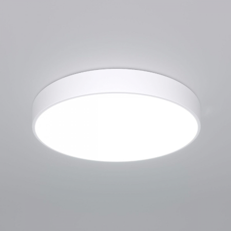 Потолочный светильник Eurosvet Entire 90320/1 белый a063078