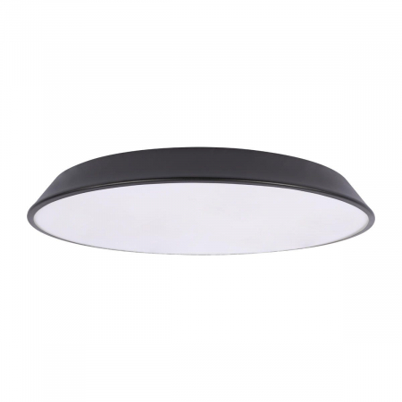 Потолочный светильник Loft IT Brim 10226 Black