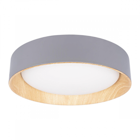 Потолочный светильник Loft IT Coin 10202 Grey