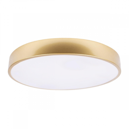 Потолочный светильник Loft IT Flims 10228/A